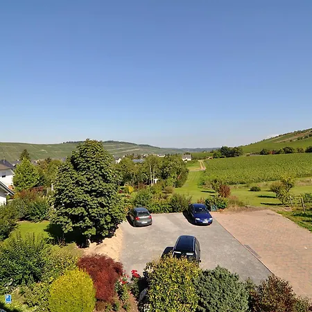 Hotell Weingut Gehlen-cornelius Brauneberg