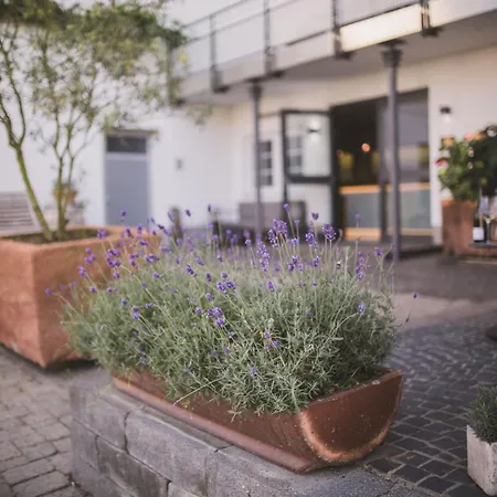 Hotel Weingut Gehlen-cornelius