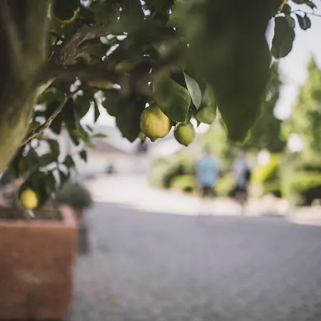 Weingut Gehlen-cornelius Brauneberg