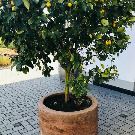 Hotell Weingut Gehlen-cornelius 3*