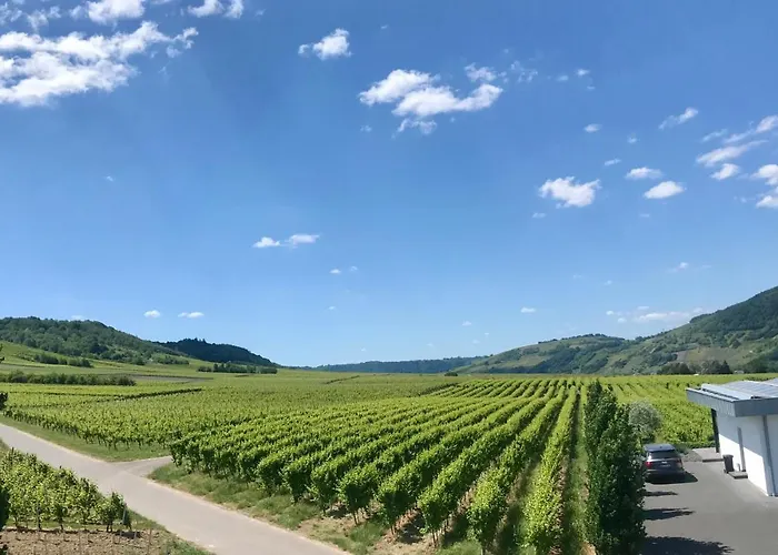 Weingut Gehlen-cornelius Hotel