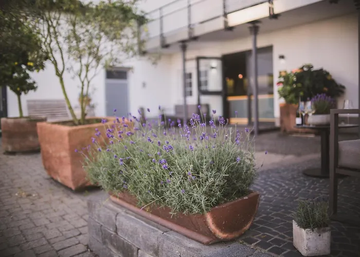 Hotel Weingut Gehlen-cornelius