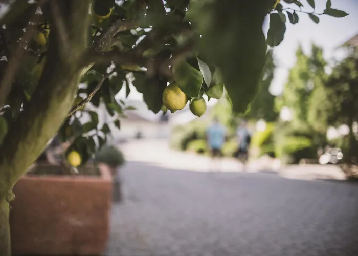 温格特格伦 - 科尼利厄斯酒店 布劳讷贝格