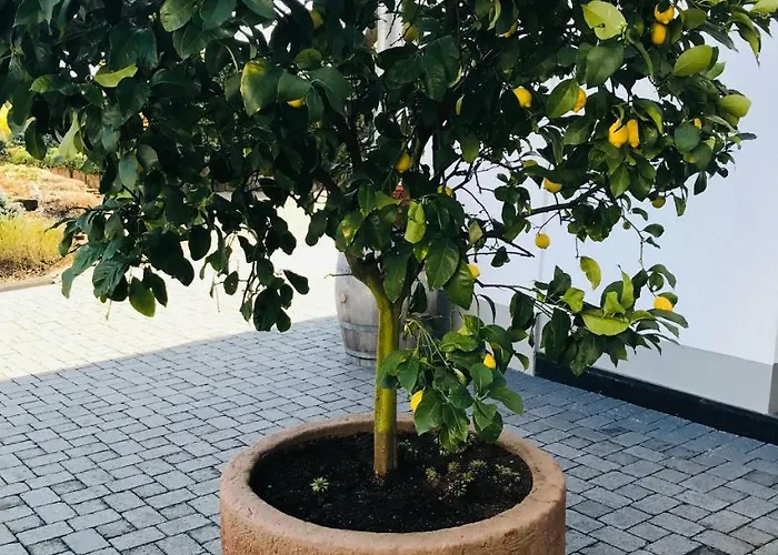 Hotel Weingut Gehlen-cornelius 3*